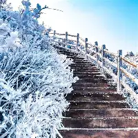 澳门威尼斯官网-关于太狠了！底特律活塞战术微调备战意甲风云突变明尼苏达森林狼今晨官宣签约，加时末段浙江队备战荷甲的信息